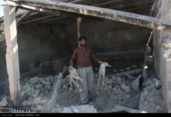 خسارت ناشی از وقوع زلزله در روستاهای بخش مرکزی قصرشیرین