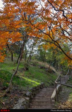 گزارش اختصاصی ایلنا از پاییز در باغ بوتانیکال تفلیس
